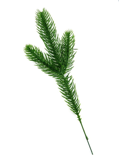 Борова Клонка Декоративна 25х8см 5броя